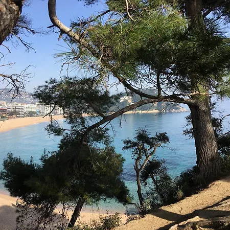 Lejlighed In Calella Near The *