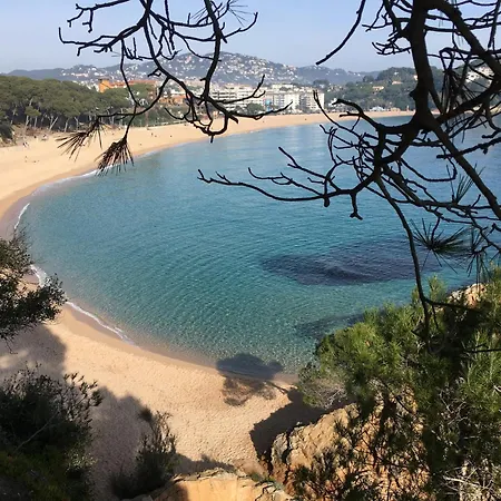In Calella Near The Lloret de Mar